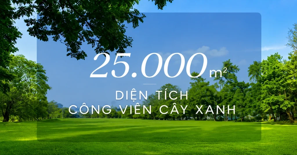 tiện ích công viên sola